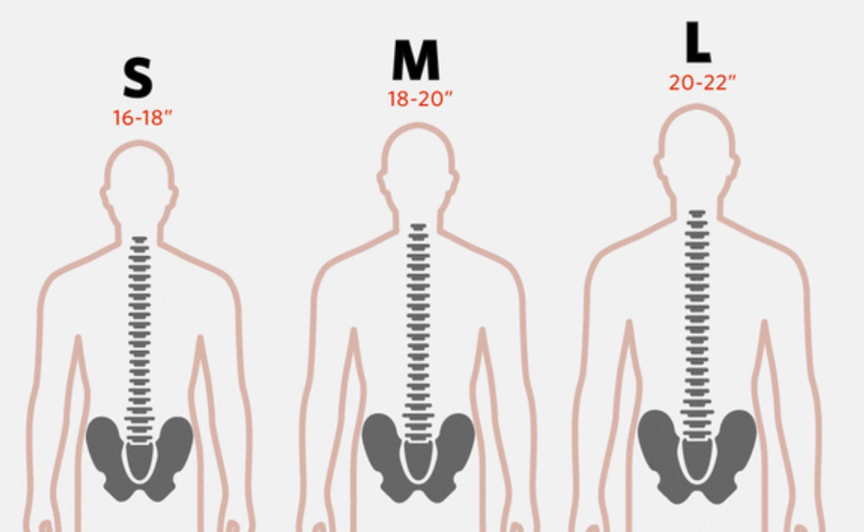 Torso Size