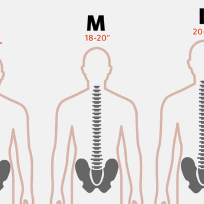 Torso Size